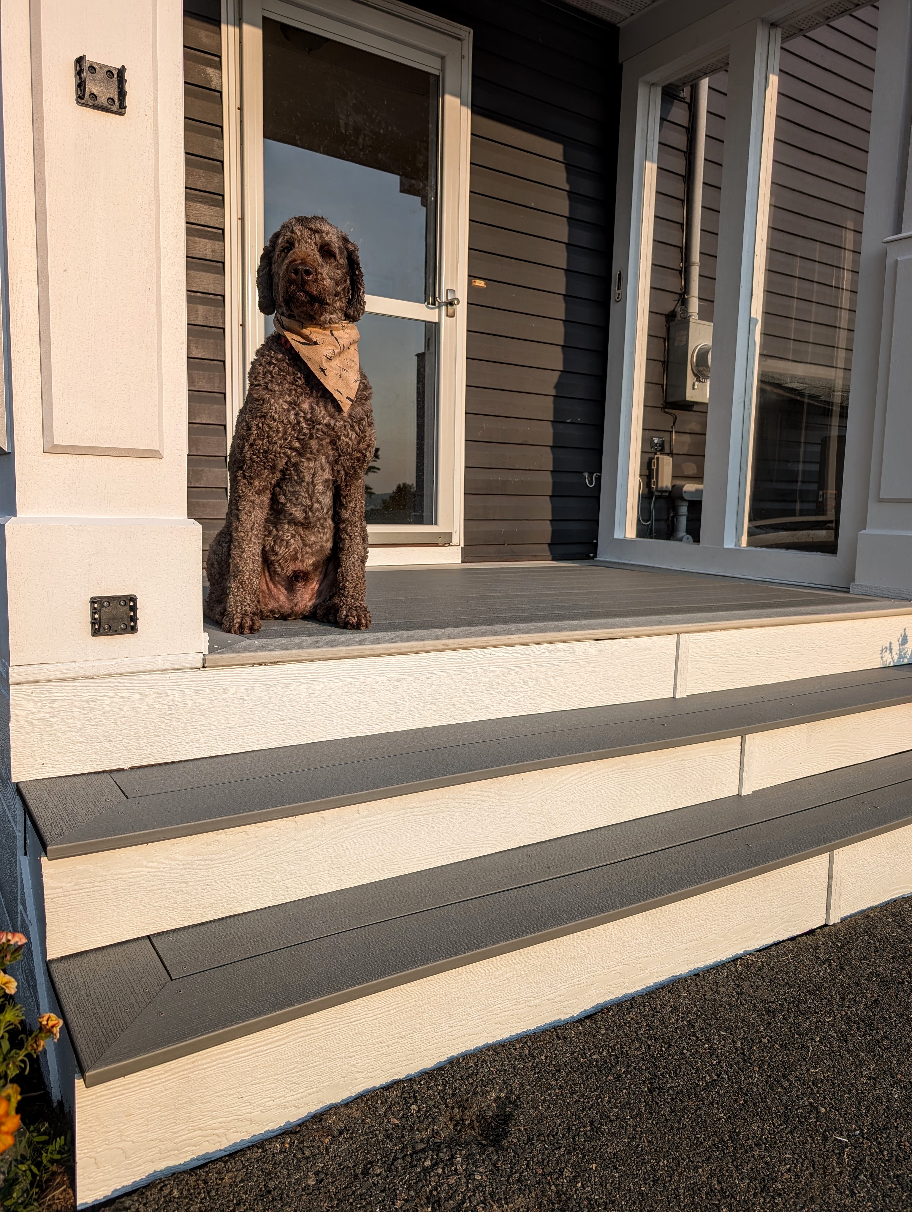 Maritime Grey and WhiteWash Cedar seamlessly flowing together